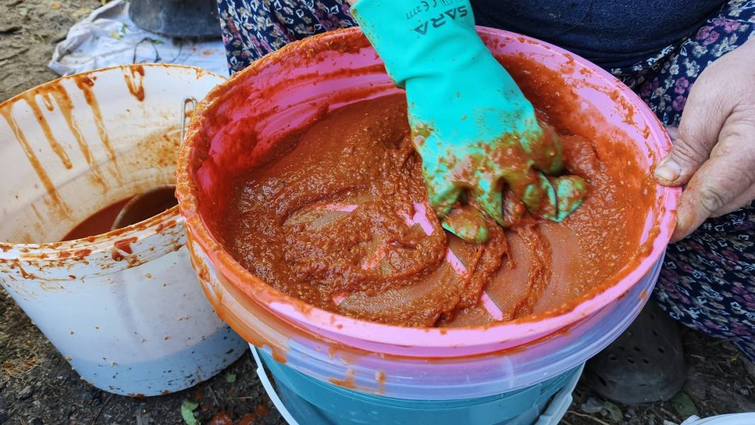 Toroslar'da tatlı ve şifalı telaş! Kuşburnu ve keçiboynuzu için ter döküyorlar 3